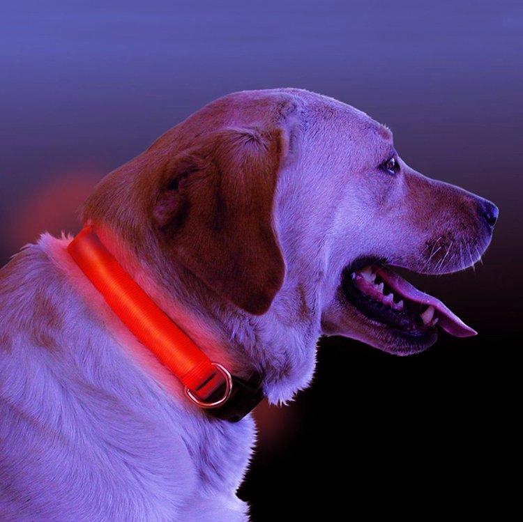 Collar para perros con luz LED