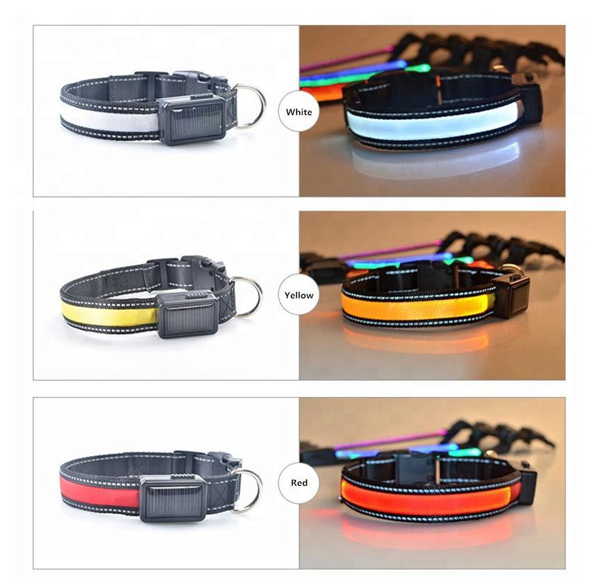 Collar para perros con luz LED reflectante y carga solar y USB 