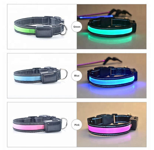 Collar para perros con luz LED reflectante y carga solar y USB 