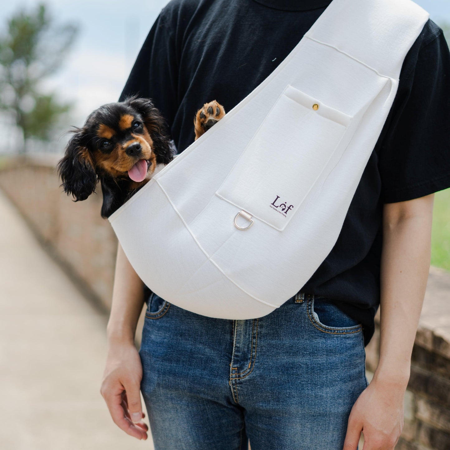 Portabebés de neopreno Lof para mascotas: viaje seguro y elegante para perros pequeños