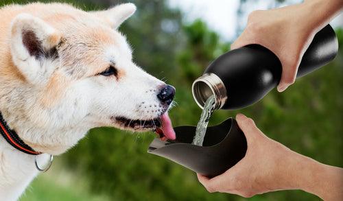 Botella de agua de 25 oz de Mobile Dog Gear