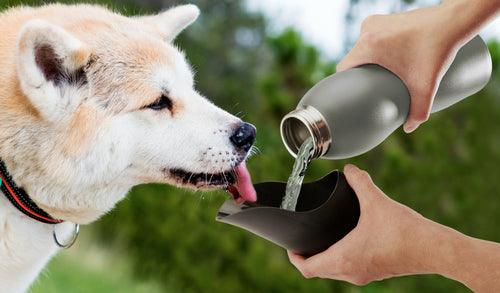 Botella de agua de 25 oz de Mobile Dog Gear