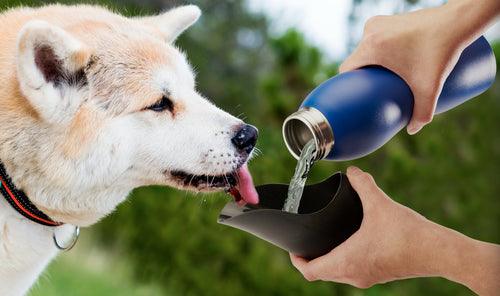 Botella de agua de 25 oz de Mobile Dog Gear