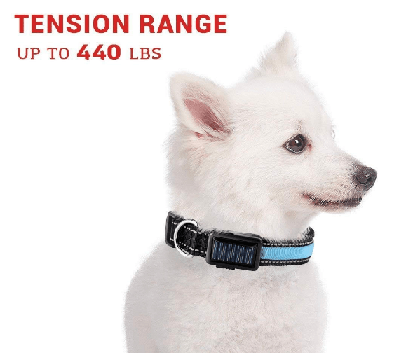 Collar para perros con luz LED reflectante y carga solar y USB 