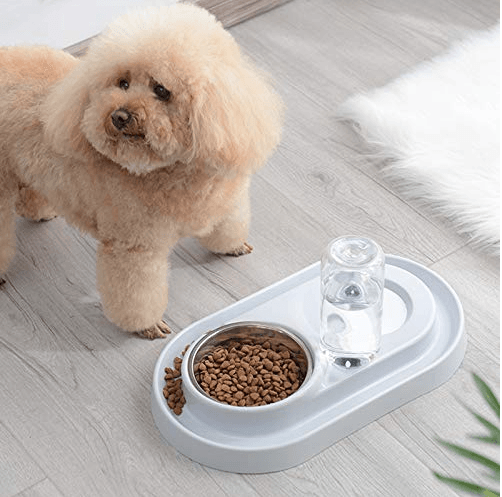 Cuencos de acero inoxidable para mascotas con botella de agua automática 