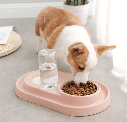 Cuencos de acero inoxidable para mascotas con botella de agua automática 