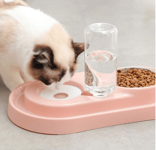 Cuencos de acero inoxidable para mascotas con botella de agua automática 