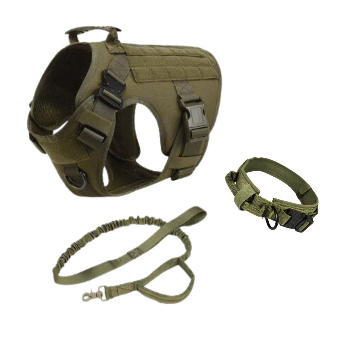 Arnés, collar y correa tácticos para perros militares (conjunto completo)