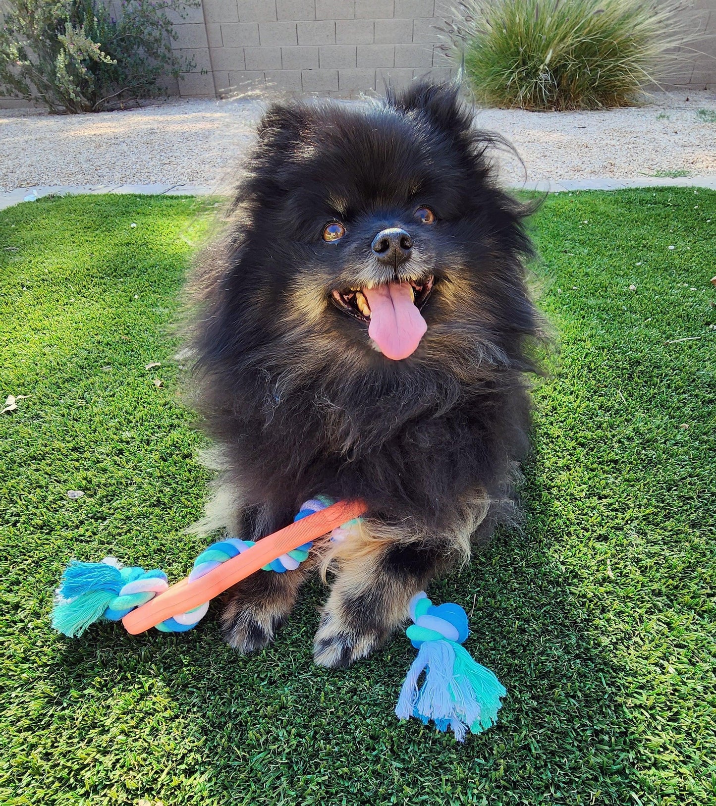 Juguete masticable para perros con forma de hueso de goma y cuerda para tirar: ideal para perros activos