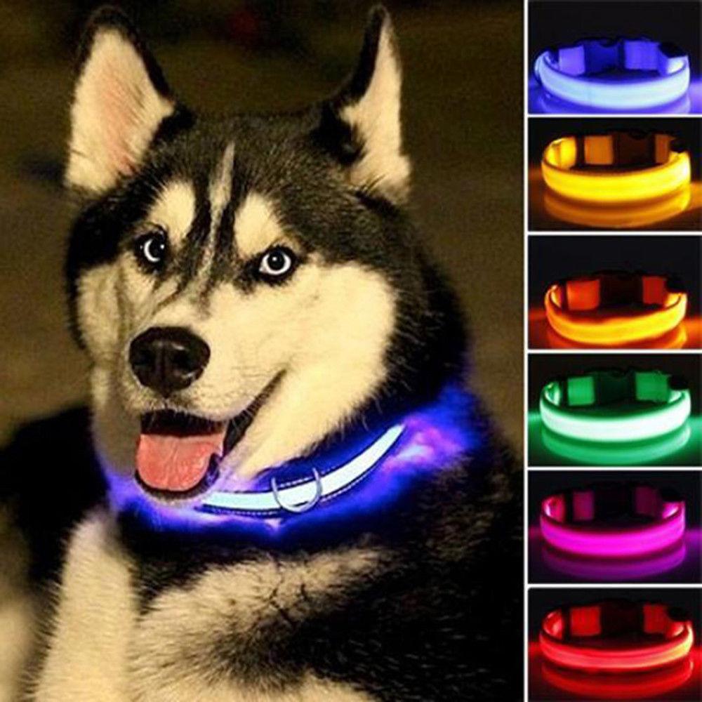 Juego de 2 collares LED de nailon para perros