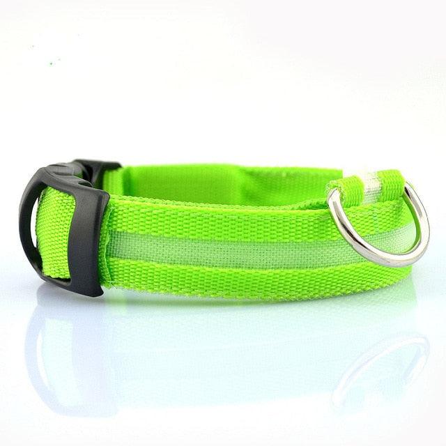 Juego de 2 collares LED de nailon para perros