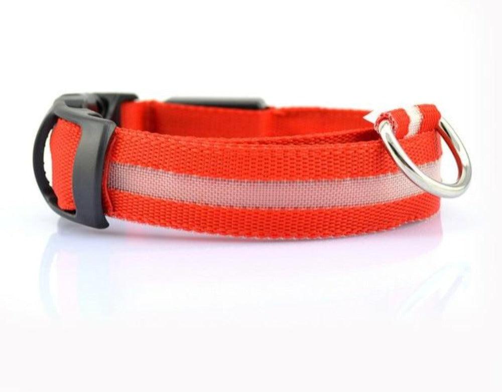 Juego de 2 collares LED de nailon para perros