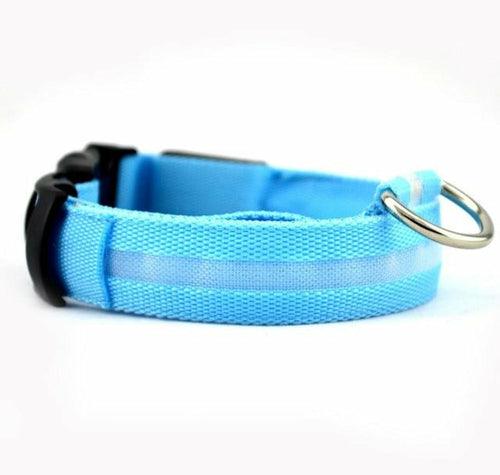 Juego de 2 collares LED de nailon para perros