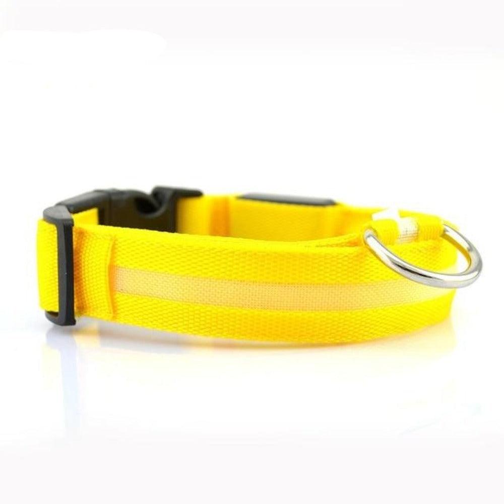 Juego de 2 collares LED de nailon para perros