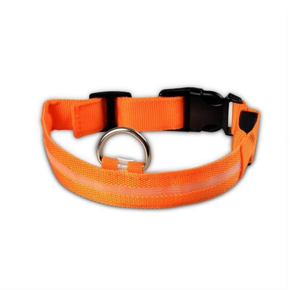 Juego de 2 collares LED de nailon para perros